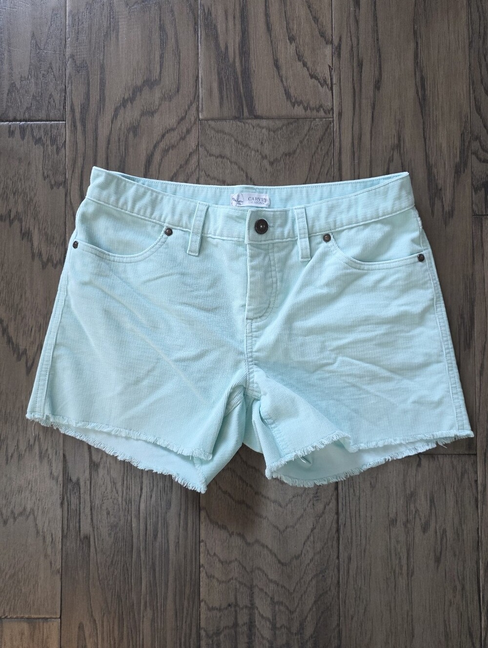 Carve Designs Oahu 4" Shorts